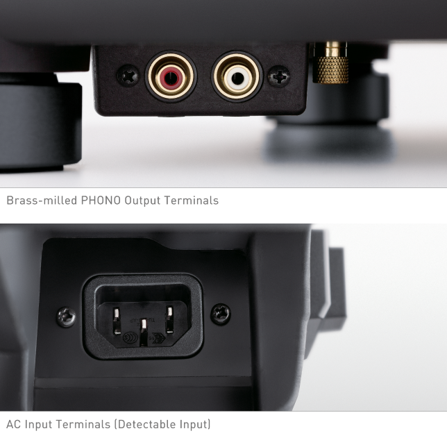 Photo of Brass-milled PHONO Output Terminals, Photo of AC Input Terminals (Detectable Input)