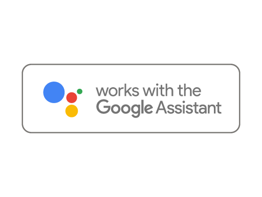 Google Assistant