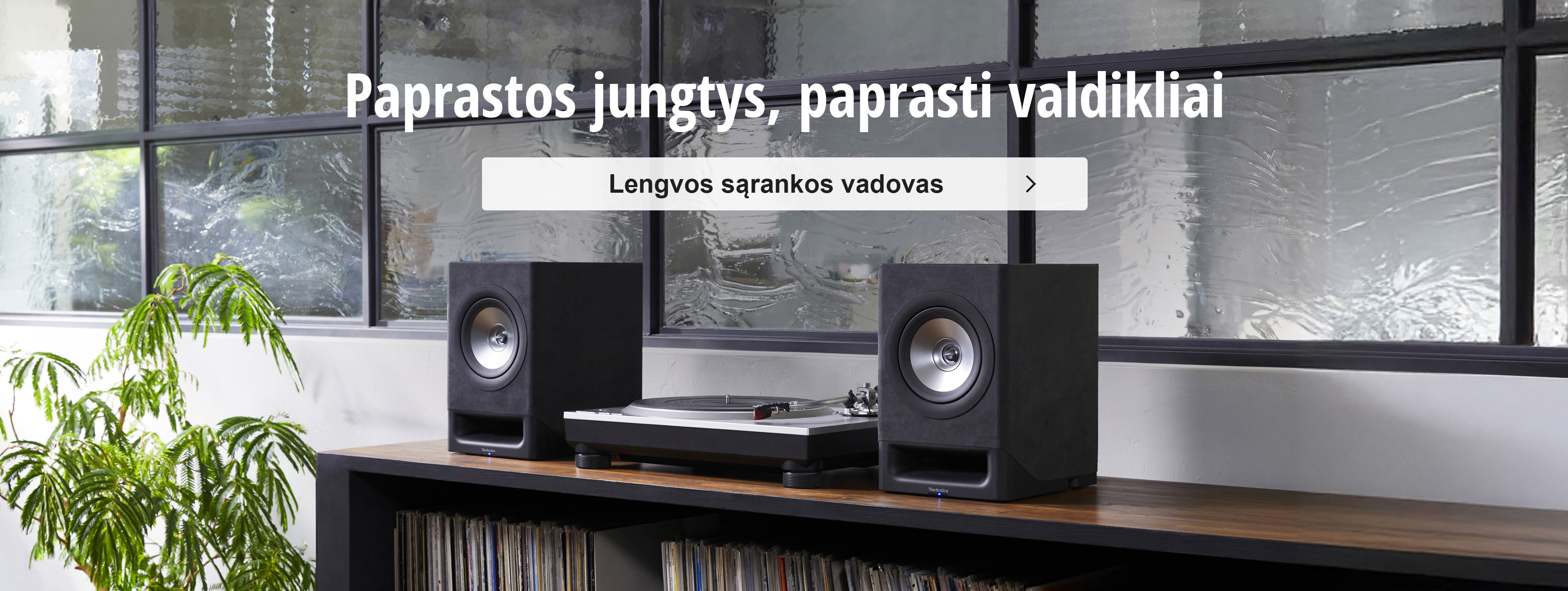 Paprastos jungtys, paprasti valdikliai