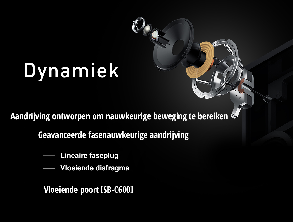 Dynamiek