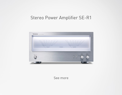 Stereo Power Amplifier SE-R1