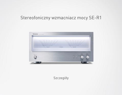 Stereofoniczny wzmacniacz mocy SE-R1